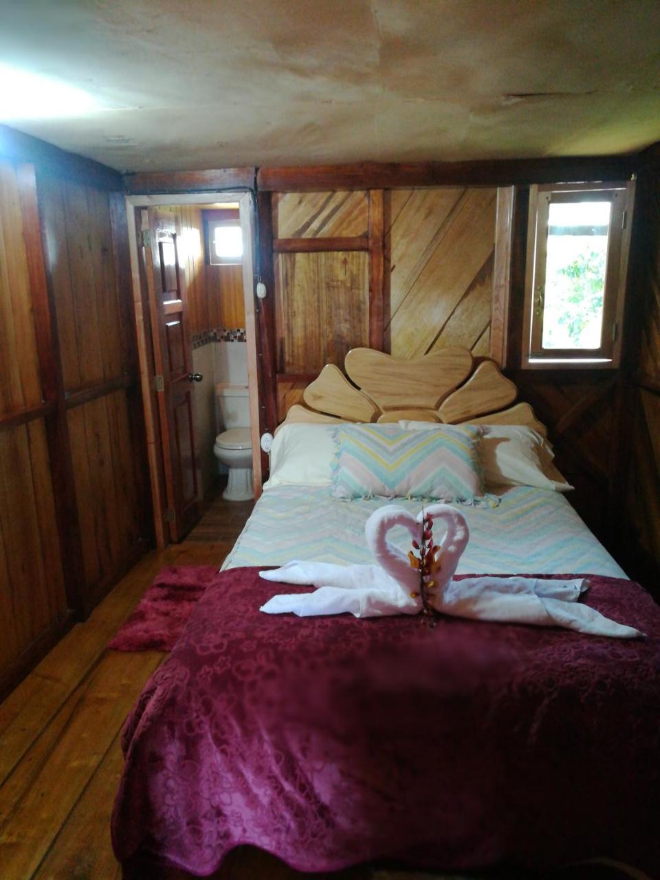 Hostal El Eden De Mindo Szoba fotó