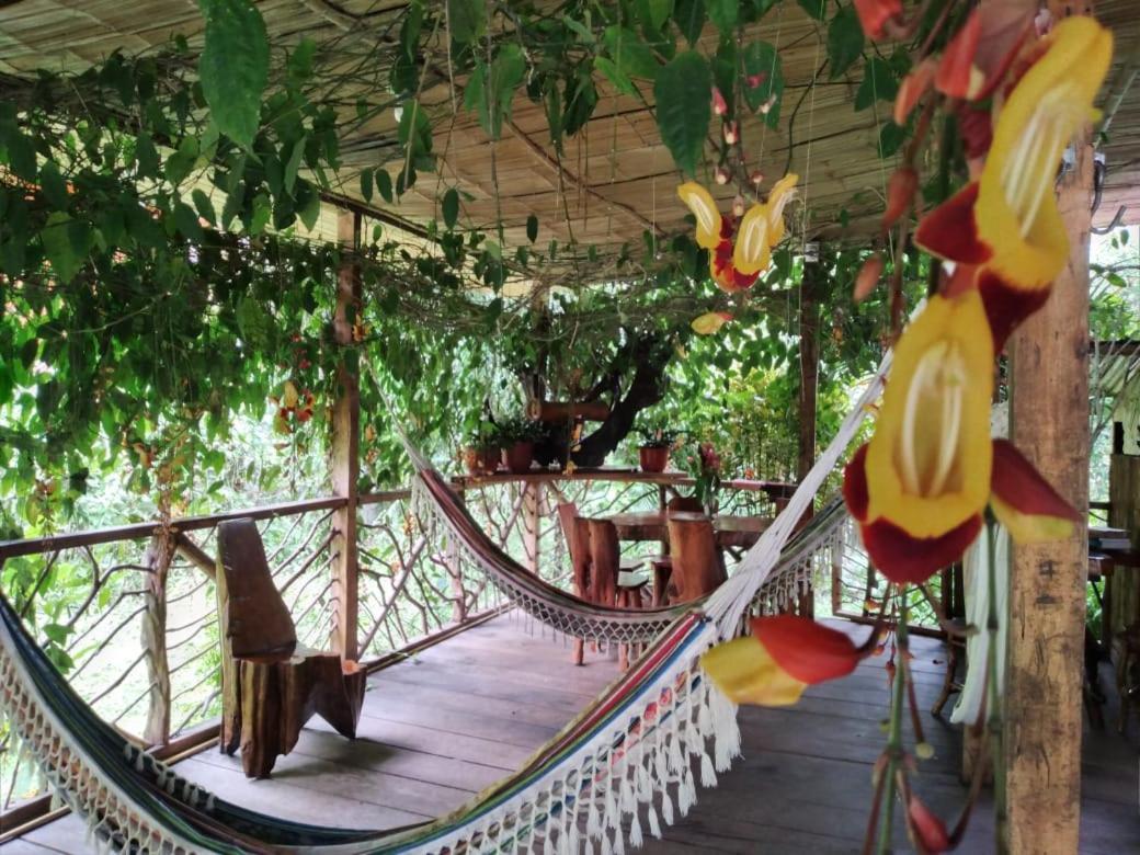 Hostal El Eden De Mindo Kültér fotó